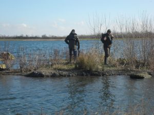 Starting the clearance of the unwanted foliage so as to provide a suitable environment for the returning nesting birds, such as Oystercatchers.